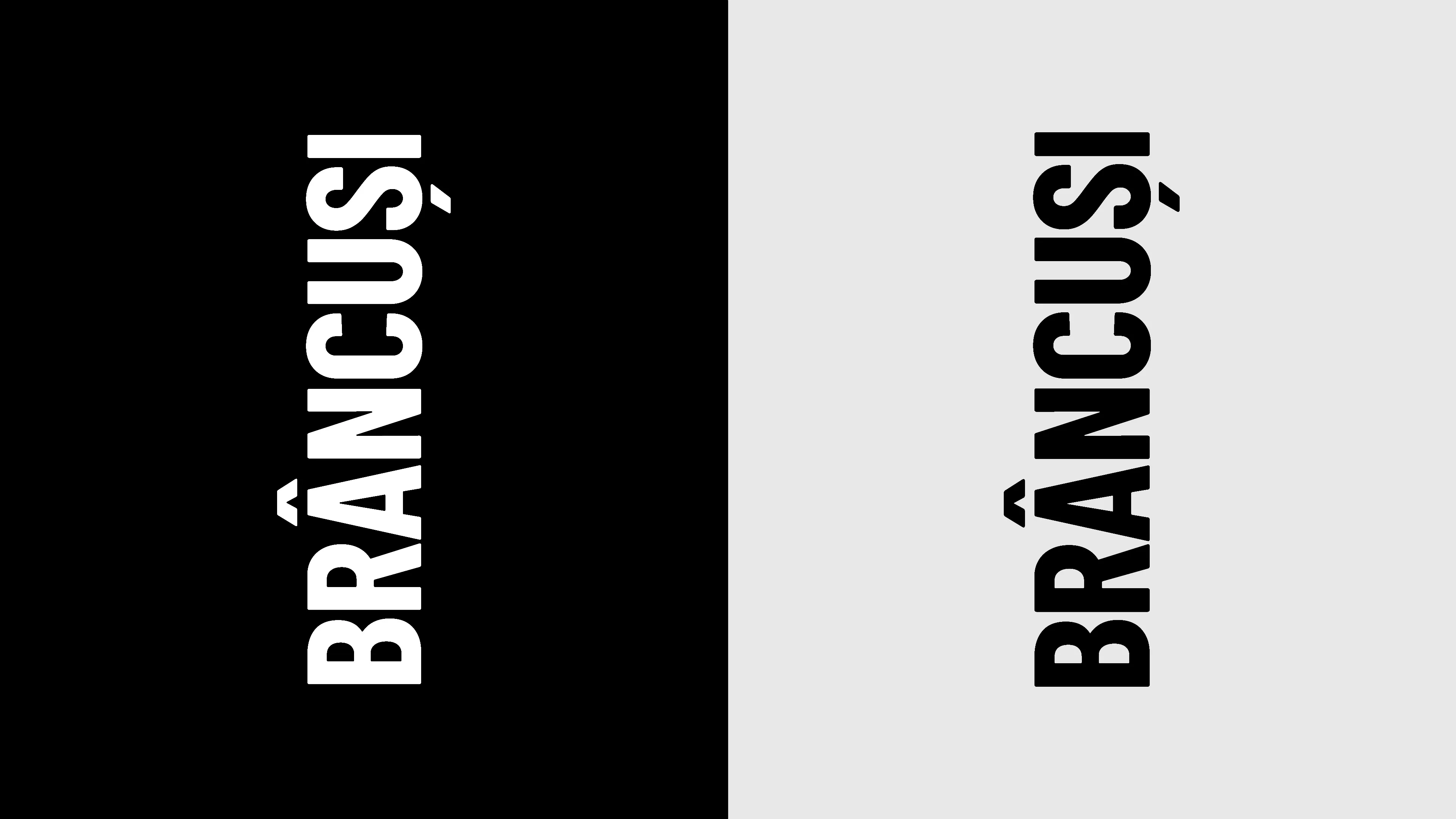 Brancusi Positive and Negative Logo