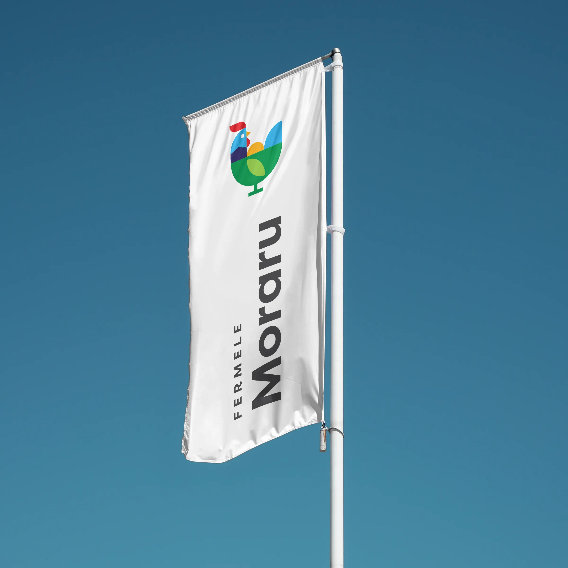 Fermele Moraru Flags