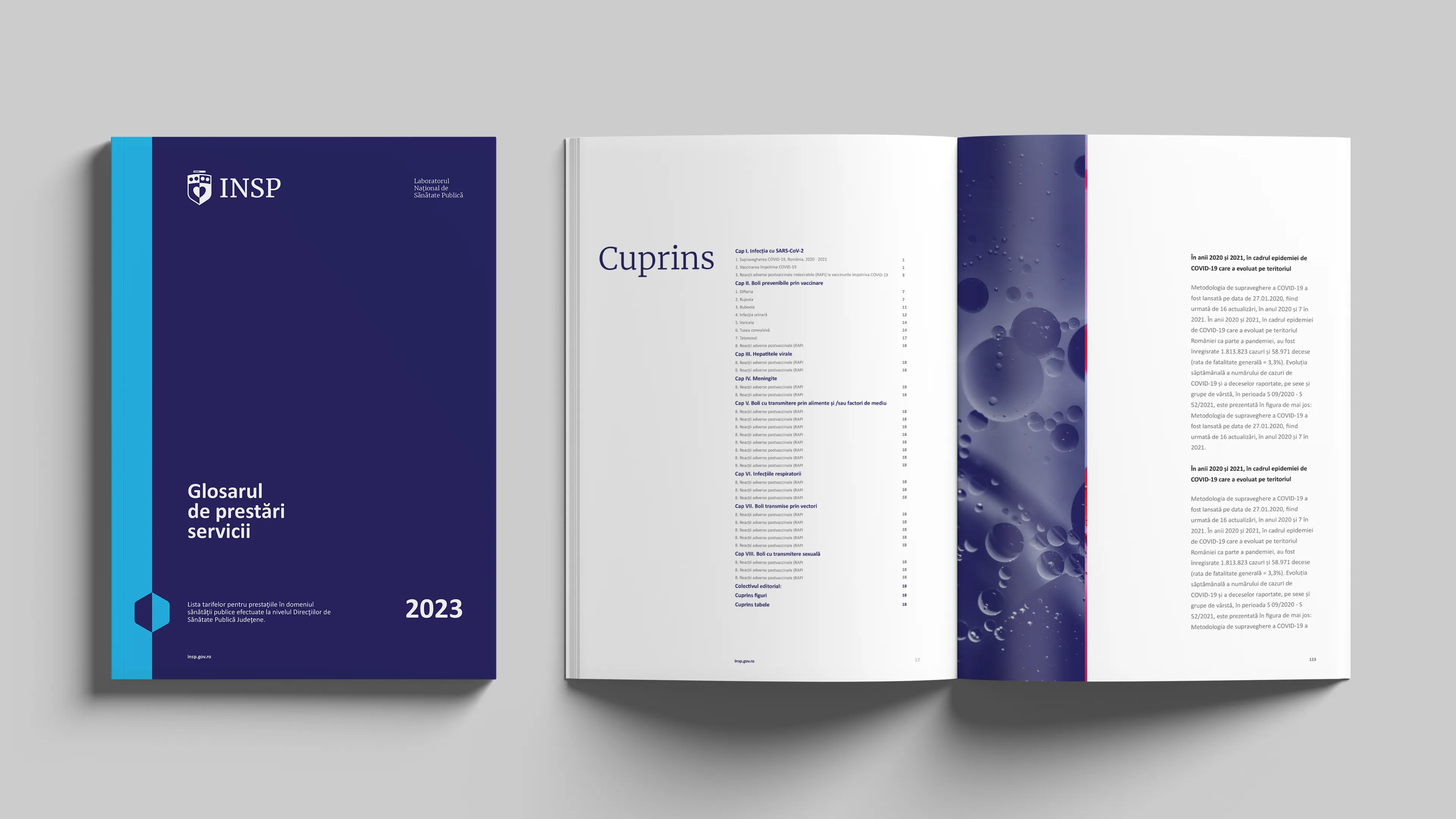 insp editorial design