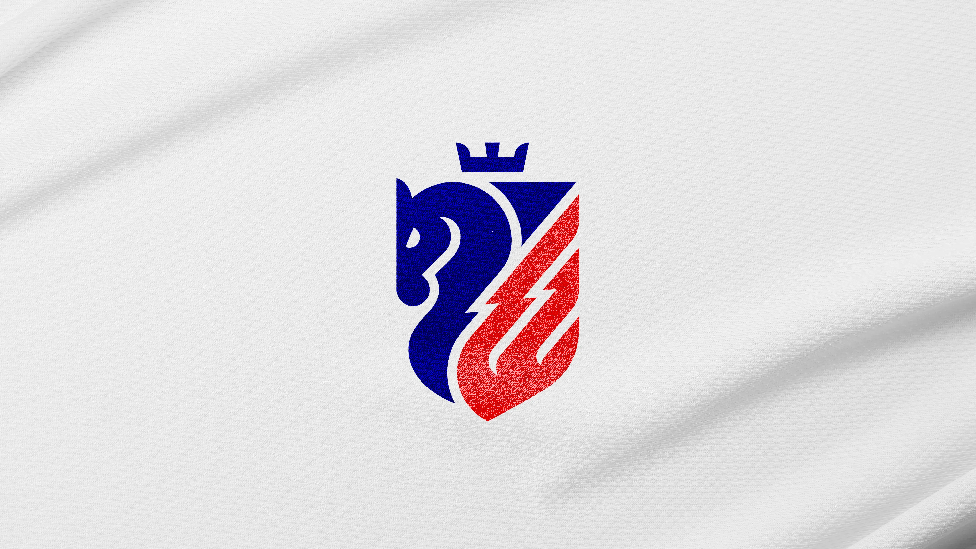 Rebranding Romania's top Football team